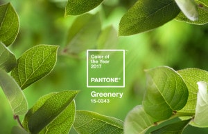 Pantone - Colour of the year 2017 - Greenery 15-0343