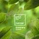 Pantone - Colour of the year 2017 - Greenery 15-0343