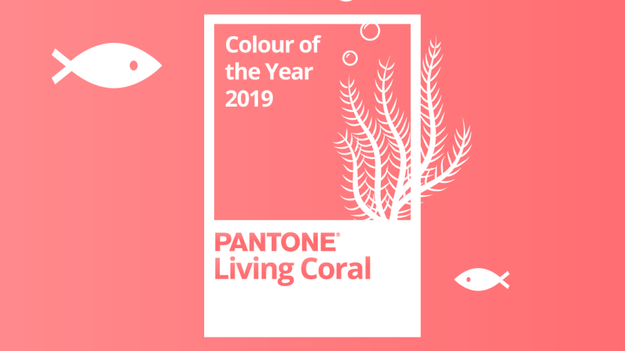 Pantone Colour Of The Year 2019 Living Coral Big Bathroom Shop