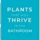 plants-in-the-bathroom main banner