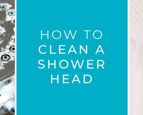 clean-shower-head-blog (1)
