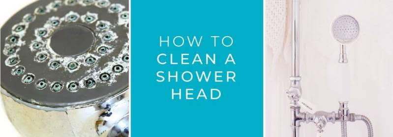 clean-shower-head-blog (1)