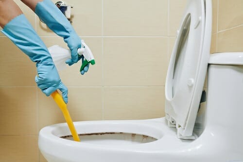 Person cleaning toilet a person wearing rubber gloves cleaning a toilet with a spray and a toilet brush