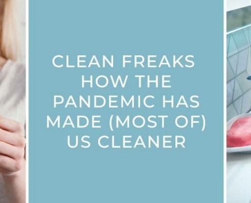 clean freaks blog banner