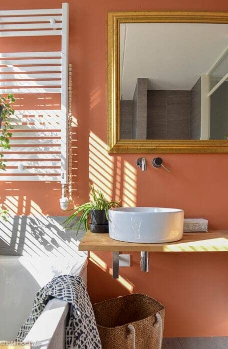 Terracotta painted bathroom walls
