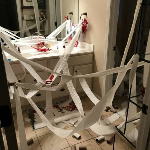 Toilet tissue turmoil