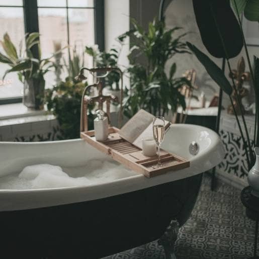 Bamboo plants bathroom