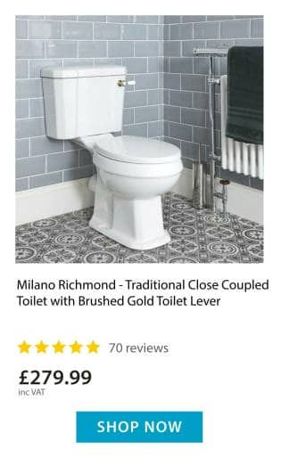 Traditional Toilet
