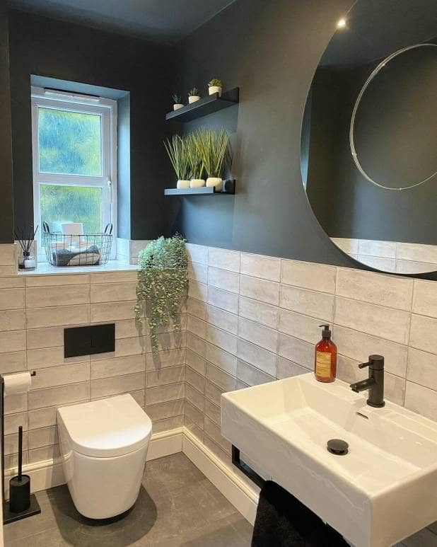 Wall hung toilet design