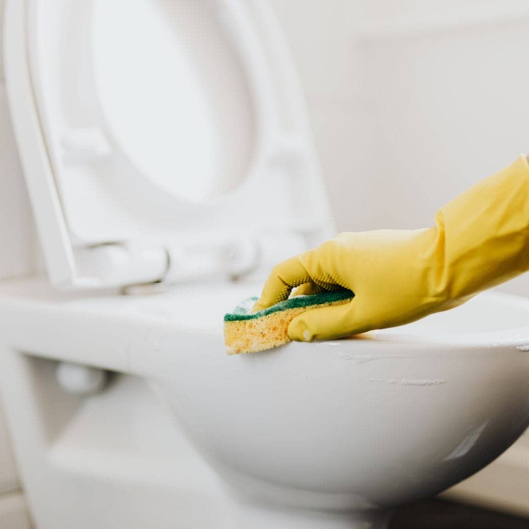 cleaning toilet seat area